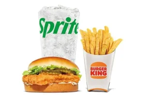 Big-Fish-Sandwich-Meal